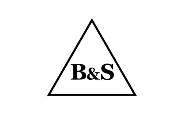 Logo B & S GmbH